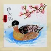 张羽桐《绿头鸭》