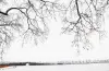 优秀奖《寒枝映断桥》韩强_中国
WINTER BRANCHES OVER BROKEN BRIDGE_QIANG HAN_China_“名城名湖名山”组