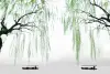 优秀奖《春晓》边少卿_中国
SPRING MORNING_SHAOQING BIAN_China_“名城名湖名山”组