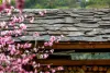 怒江.沿岸民居（丙中洛）